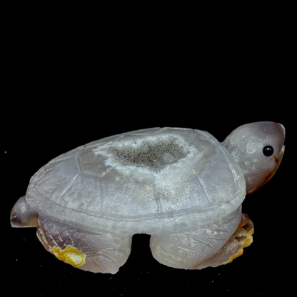 Healing Agate Turtle Stone – Handcarved for Root Chakra & Stress Relief | Reiki Certified