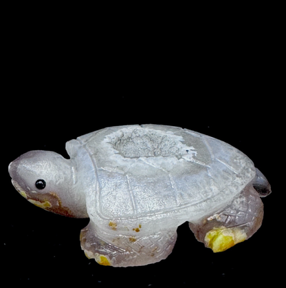 Healing Agate Turtle Stone – Handcarved for Root Chakra & Stress Relief | Reiki Certified