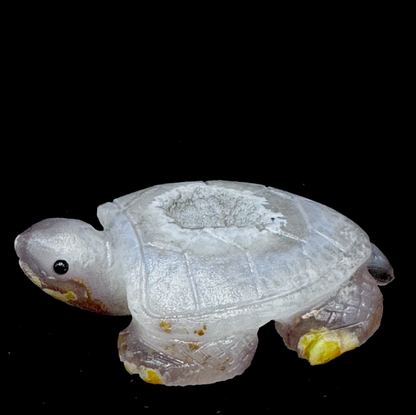 Healing Agate Turtle Stone – Handcarved for Root Chakra & Stress Relief | Reiki Certified