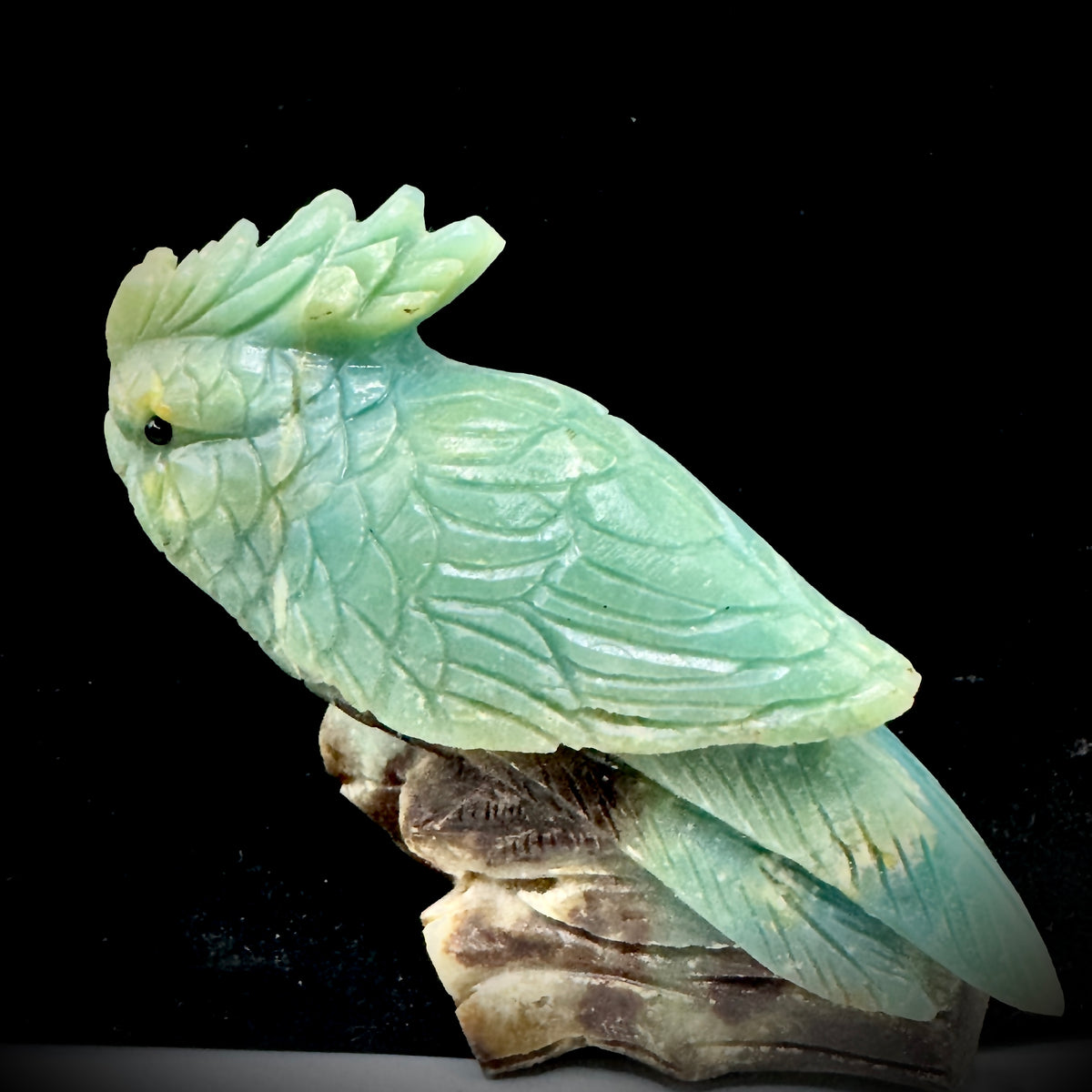 The Amazonite parrot is pictured next to a symbolic illustration of the throat chakra, representing its power to enhance communication.