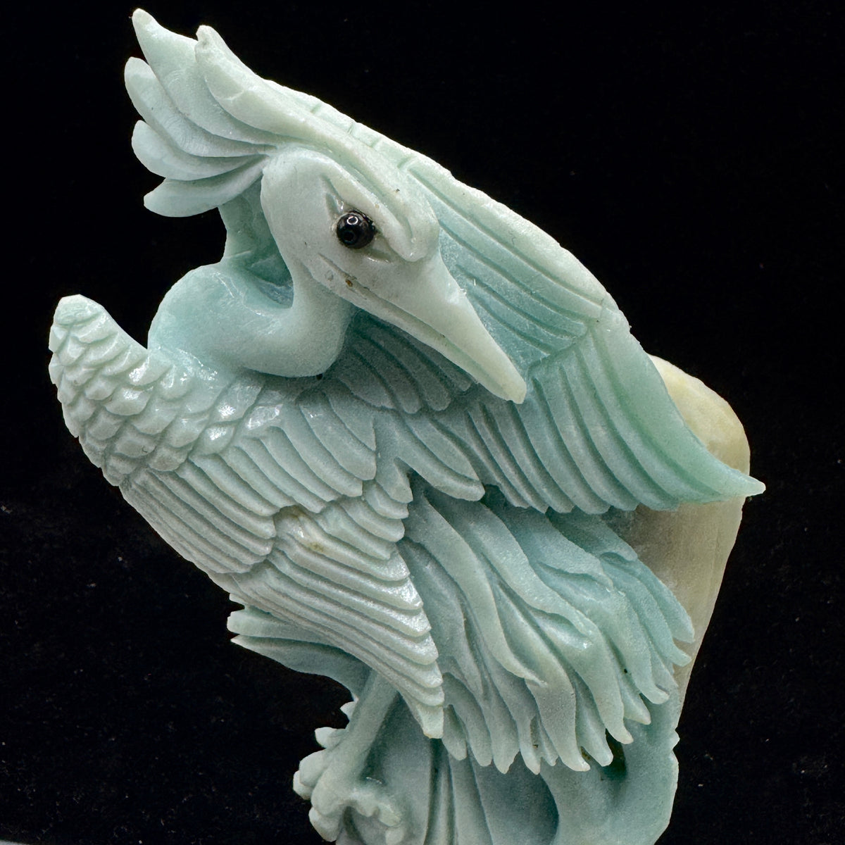  The Amazonite bird on a workspace, aiding in reducing stress during busy workdays.