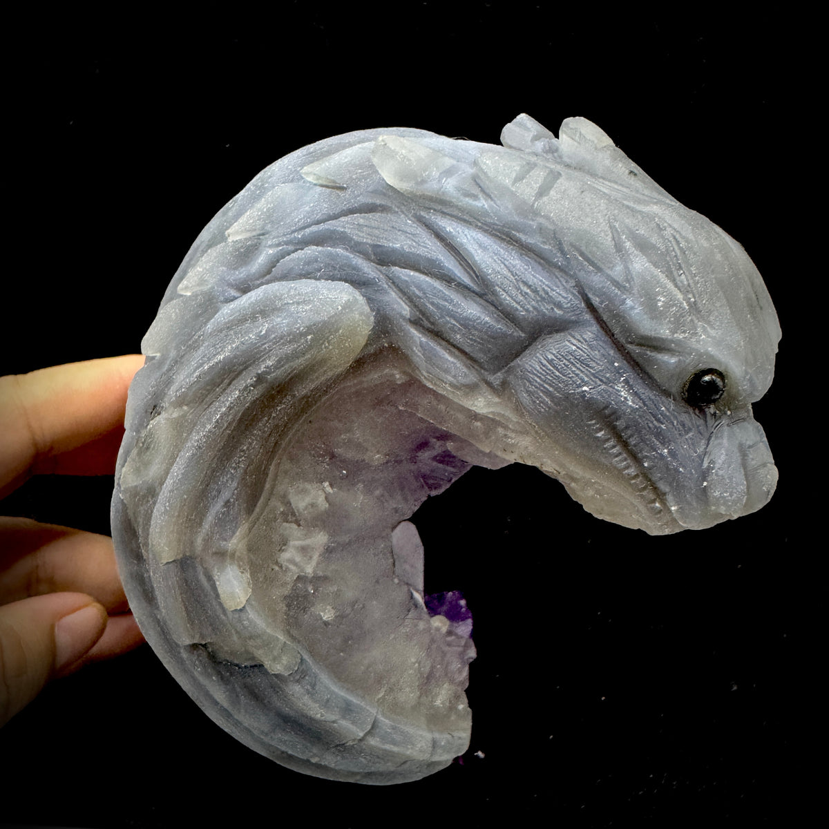 The dragon in a living room setting, promoting a balanced and harmonious atmosphere.