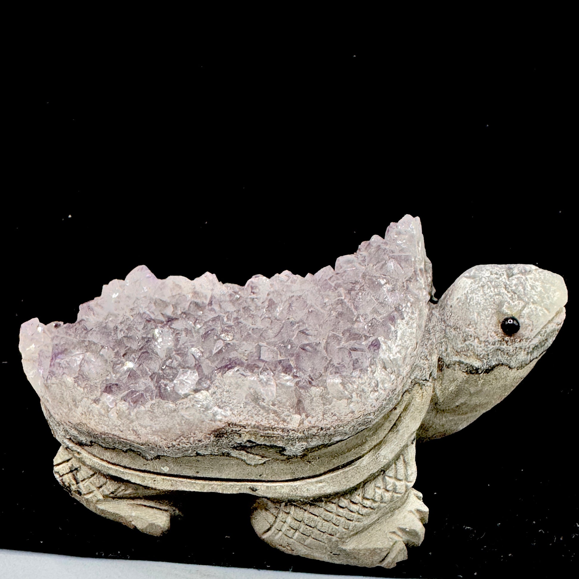 The amethyst tortoise placed in a home setting to attract good fortune and protective energy.