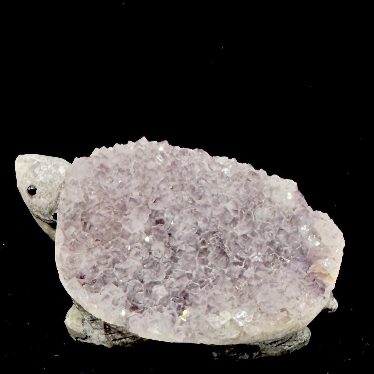 The tortoise embodies the concept of staying grounded while pursuing spiritual growth.