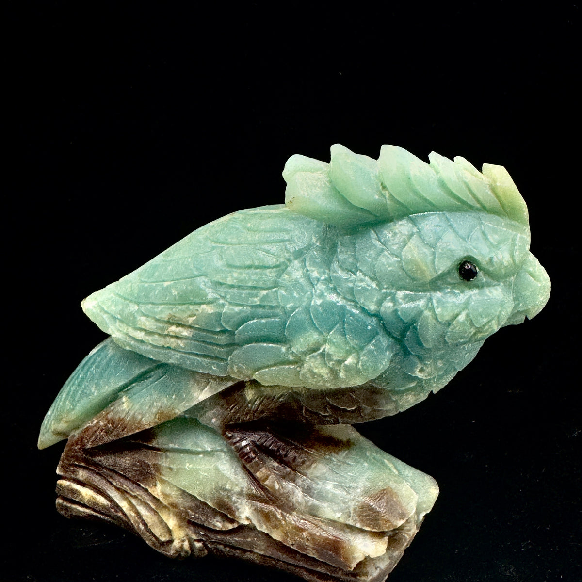 An extreme close-up of the parrot's head, revealing the masterful carving of its beak and eyes, capturing its wise expression.