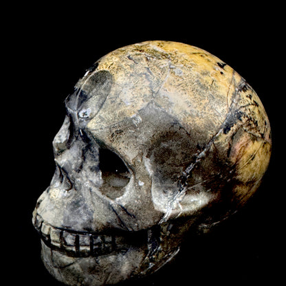 Raw Stone Crystal Skull - Grounding Energy Ancestral Wisdom Decor & Spiritual Journey