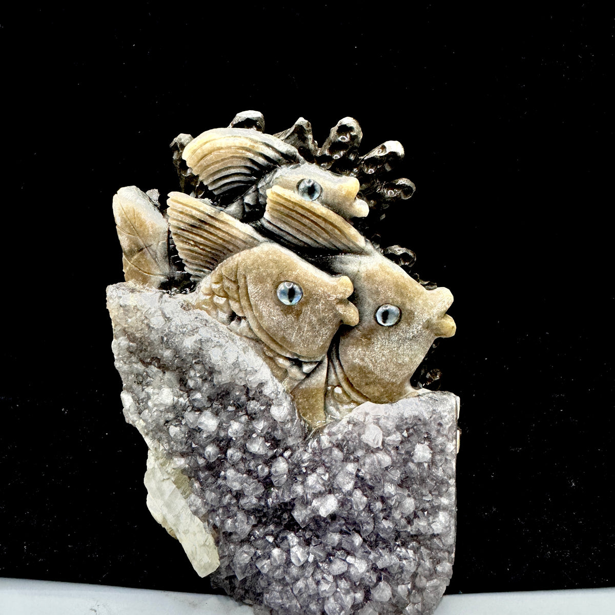 The amethyst sea creature promoting the flow of emotions and release of blockages.