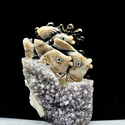 The amethyst sea creature promoting the flow of emotions and release of blockages.