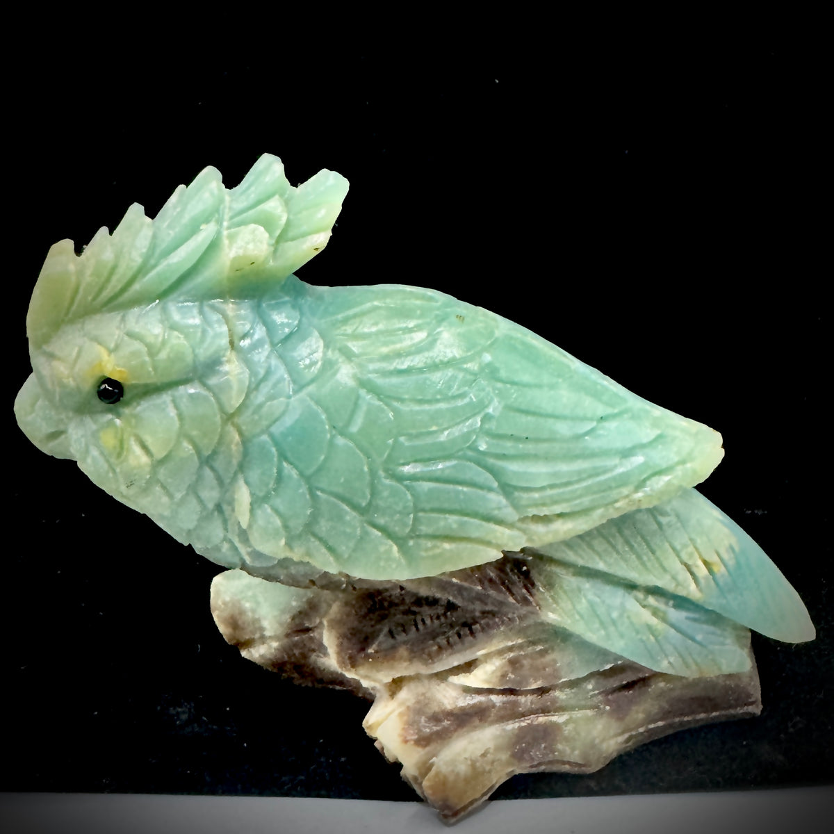The spiritual parrot figurine is bathed in warm, natural sunlight, causing the Amazonite stone to glow with a soft, internal light.