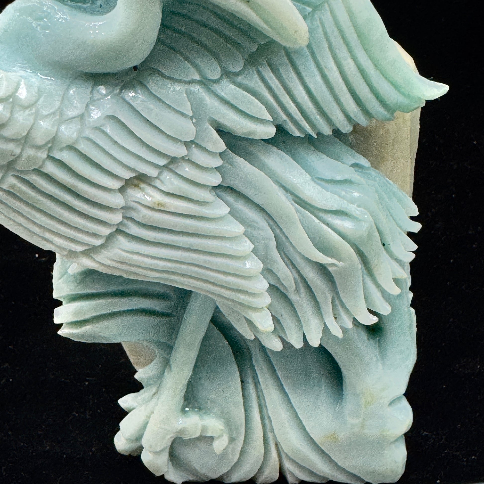 The bird depicted as a spirit animal guide bringing messages of optimism and joy.