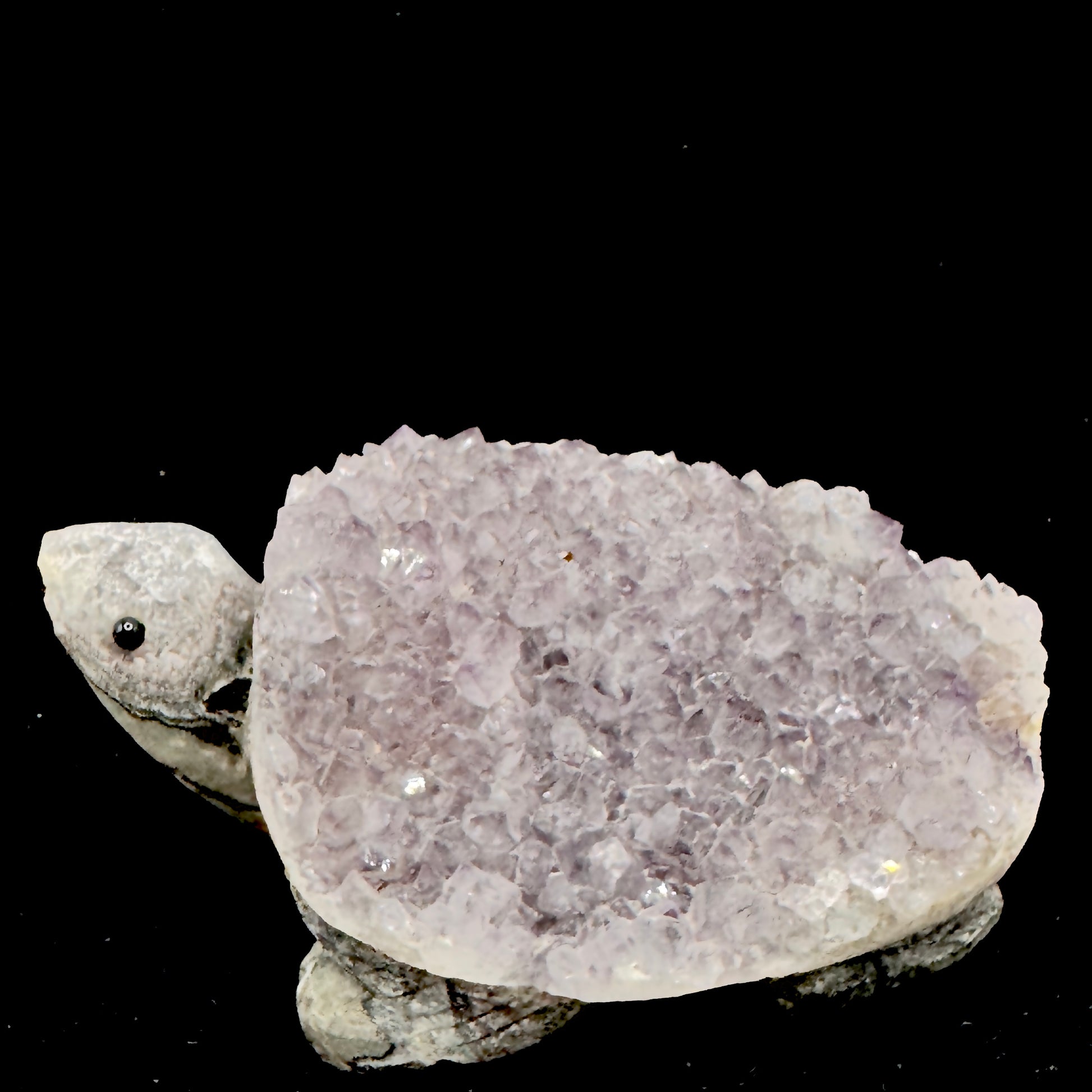 Aura Cleansing Crystal Tortoise