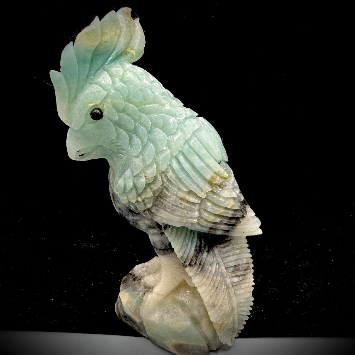The Amazon parrot demonstrates its energy field in a crystal array.
