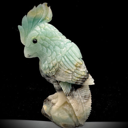 The Amazon parrot demonstrates its energy field in a crystal array.