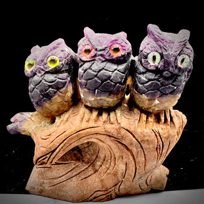 Rainbow fluorite owl trio as decision making symbol on bookshelf