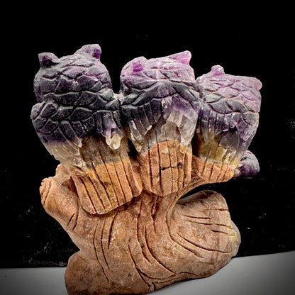  Energy clearing crystal owl set in peaceful meditation space arrangement