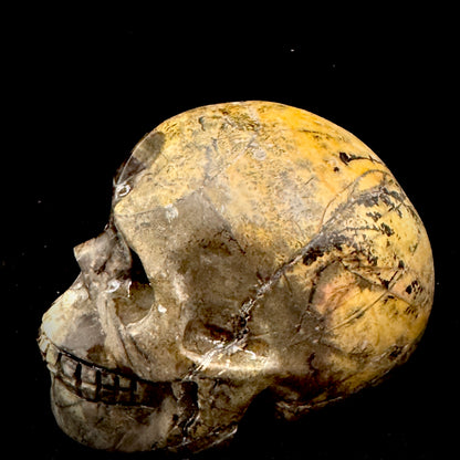 A person holds a mineral skull in both hands, feeling its stable grounding energy and connection to the earth.