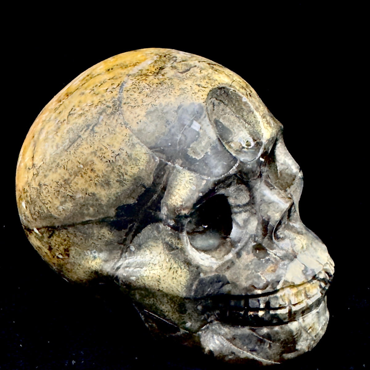 Display the mineral skull from multiple angles, highlighting its naturally formed layers, specks, and colors.